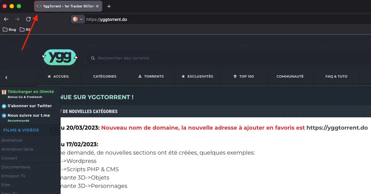 Capture d'écran d'un onglet de navigateur avec un favicon mis en évidence.